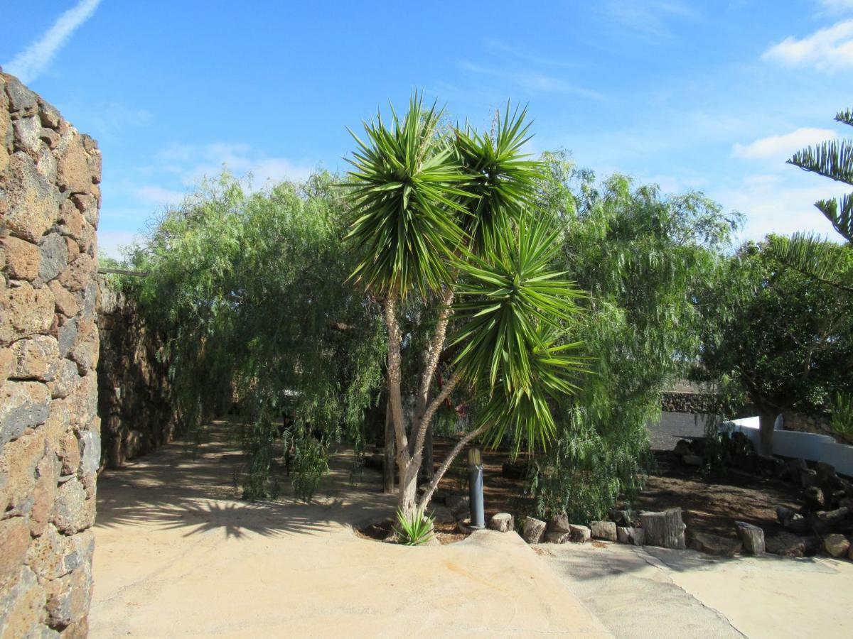 El Cercado Apartment Tias Exterior photo
